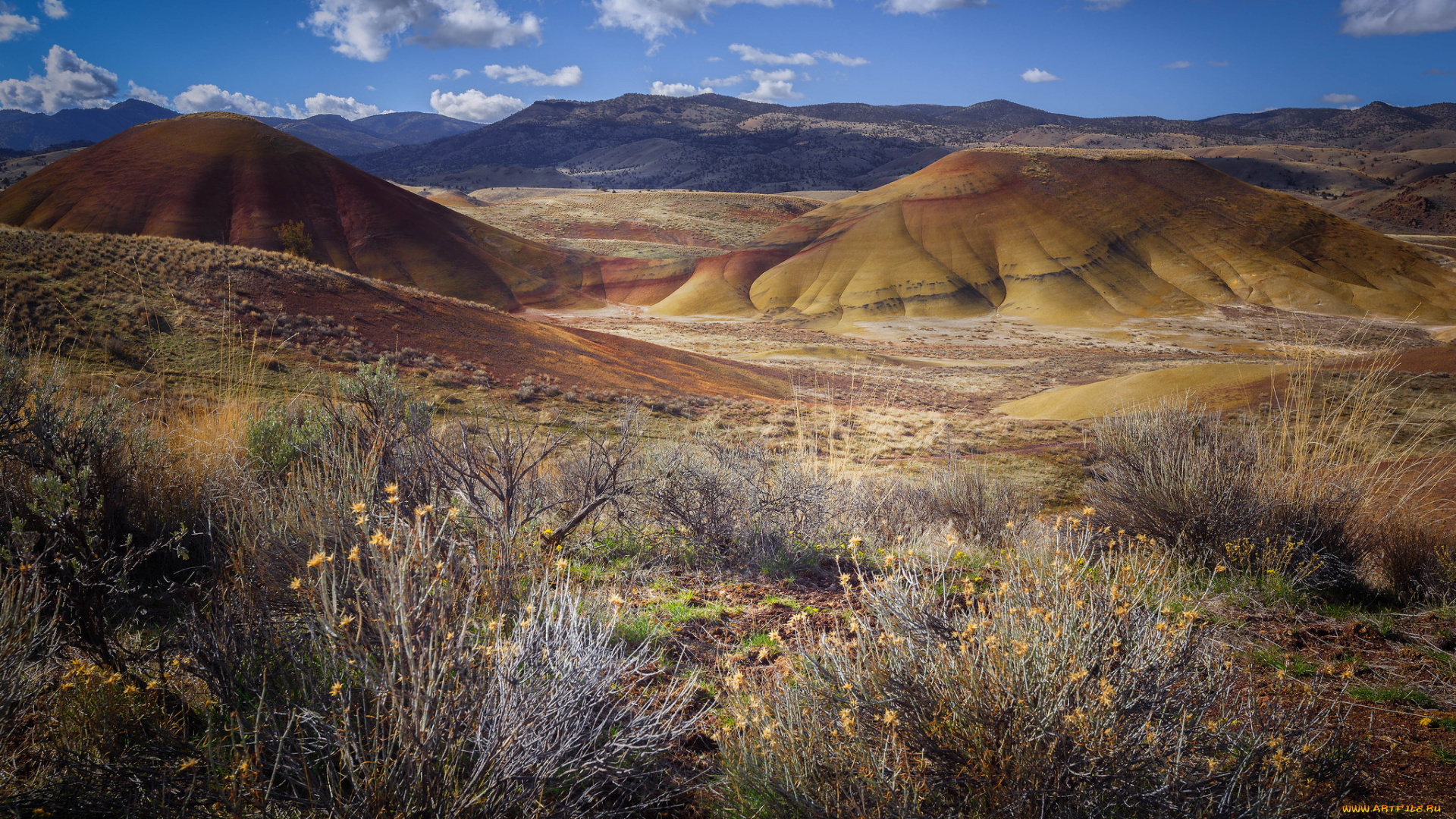 природа, пейзажи, простор