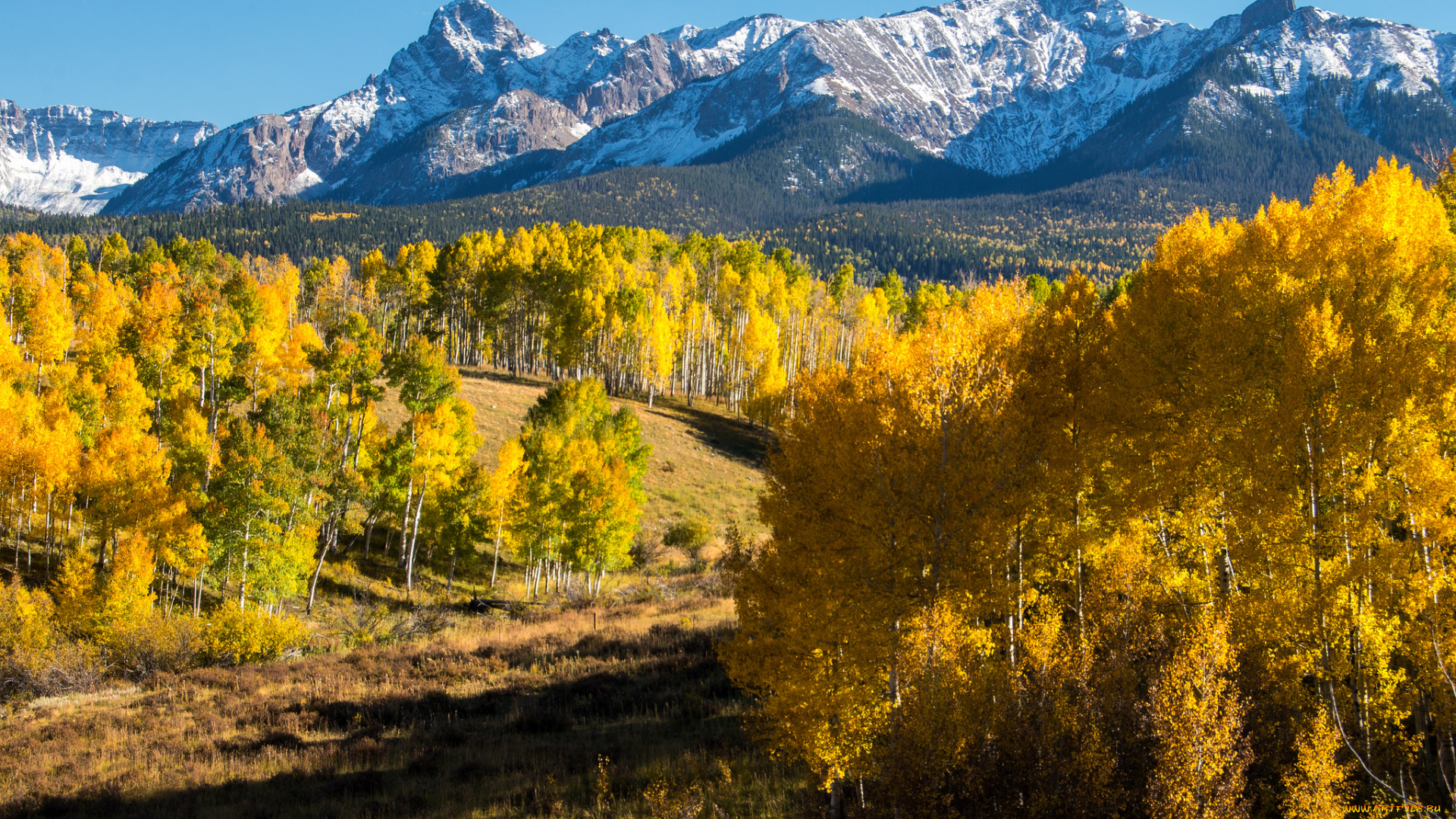 природа, пейзажи, простор