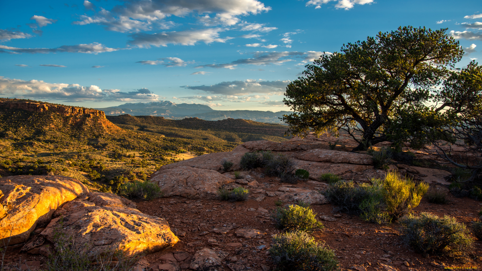 природа, пейзажи, простор