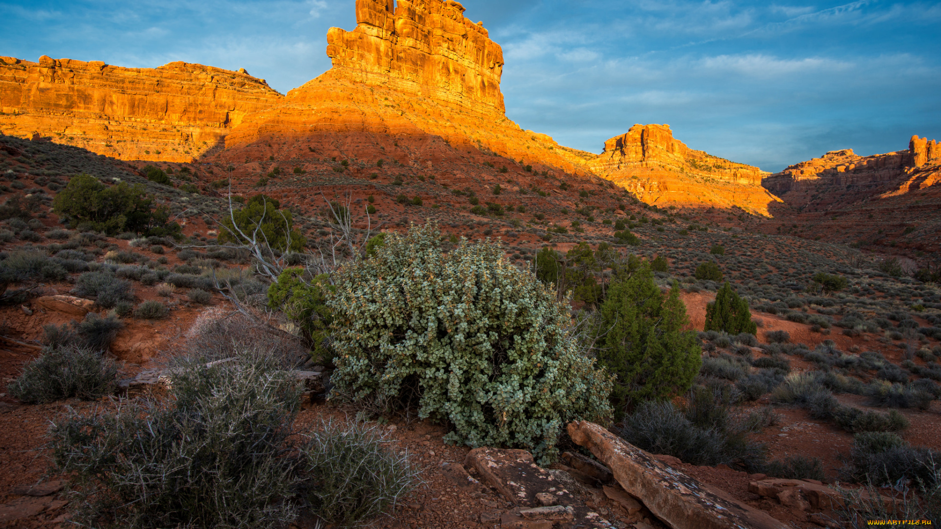 природа, пустыни, простор