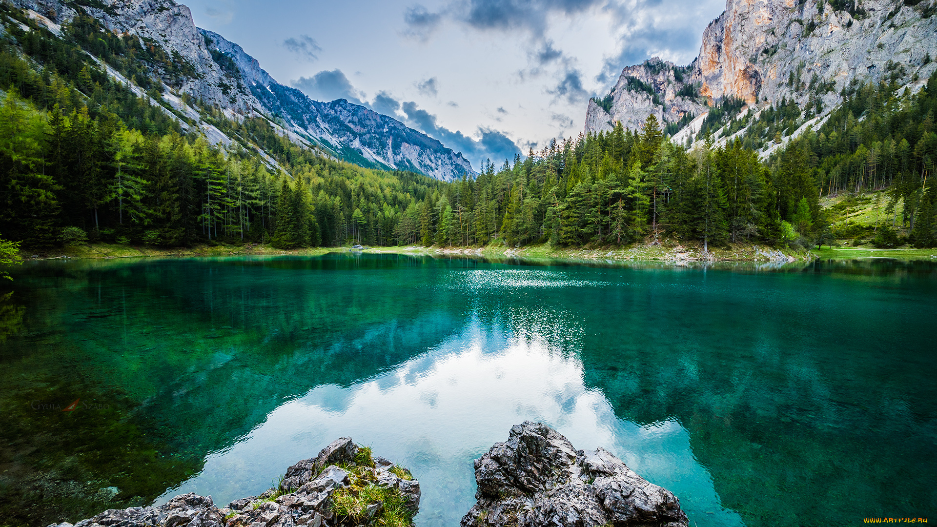 природа, реки, озера, лес, река