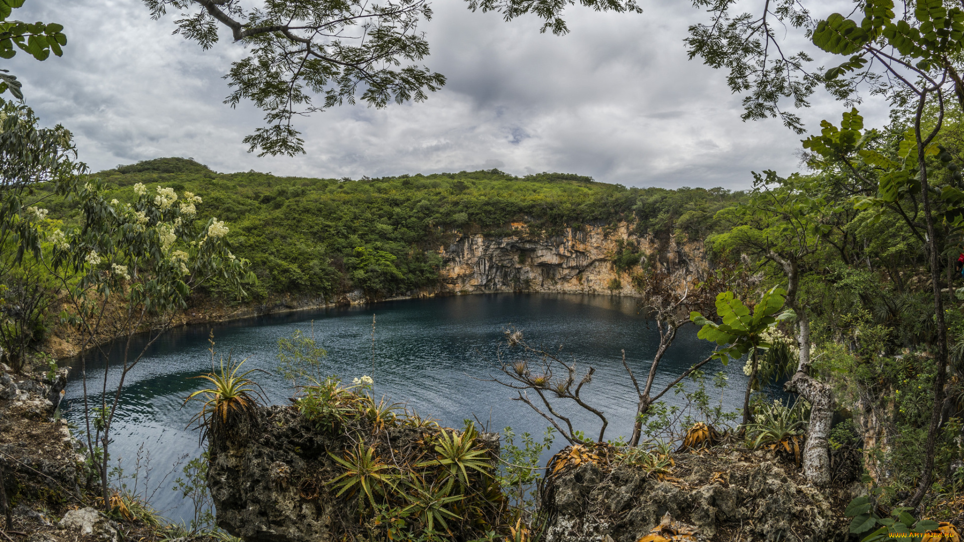 природа, реки, озера, лес, река