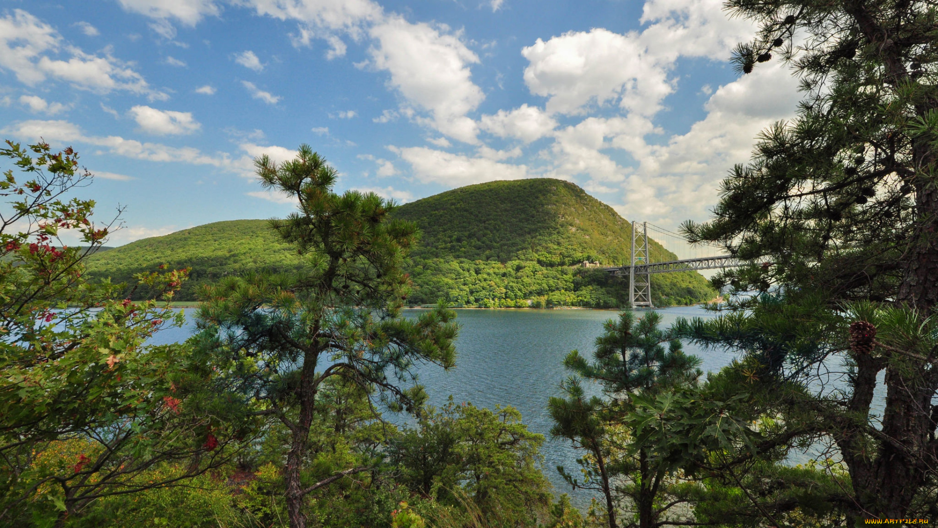 природа, реки, озера, лес, река