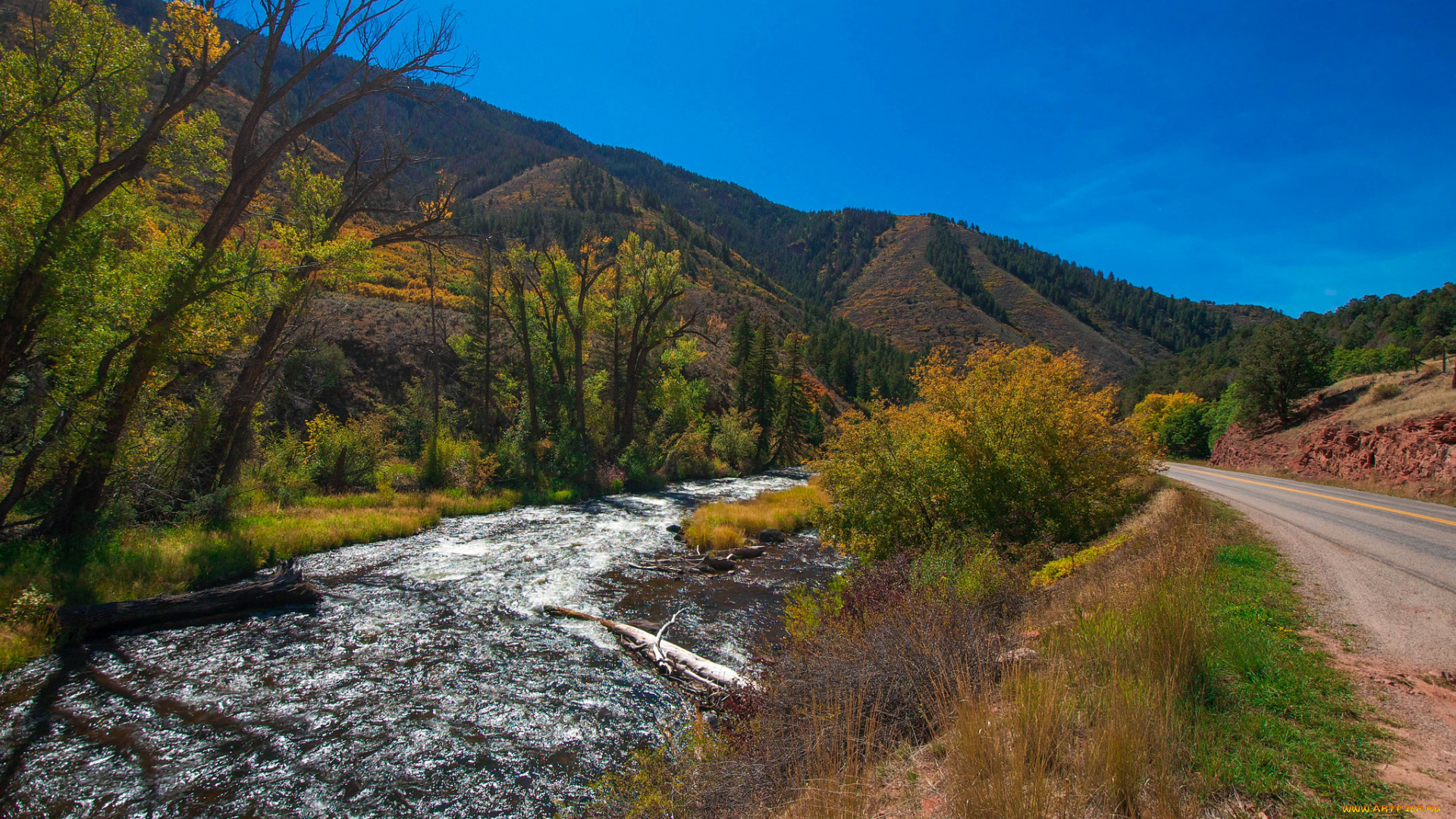 природа, реки, озера, лес, река