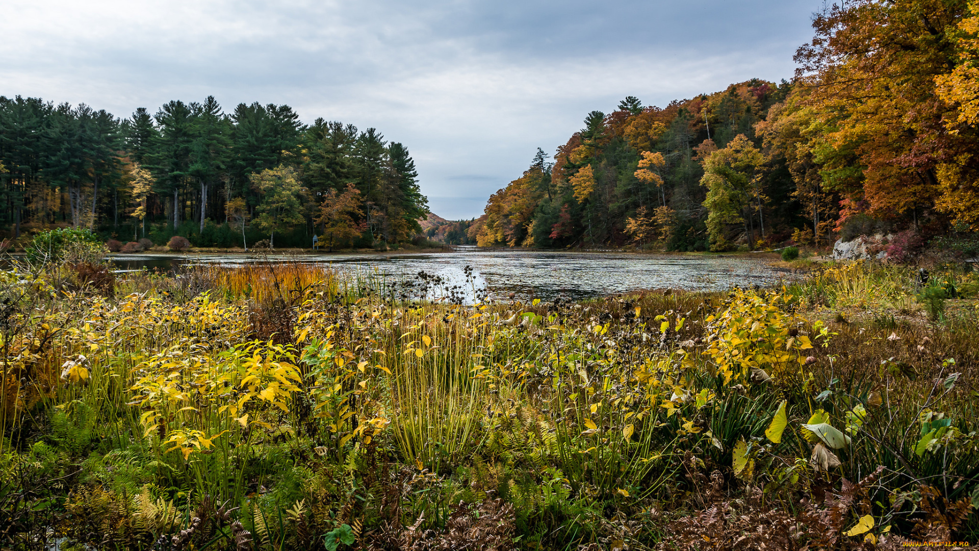 природа, реки, озера, осень