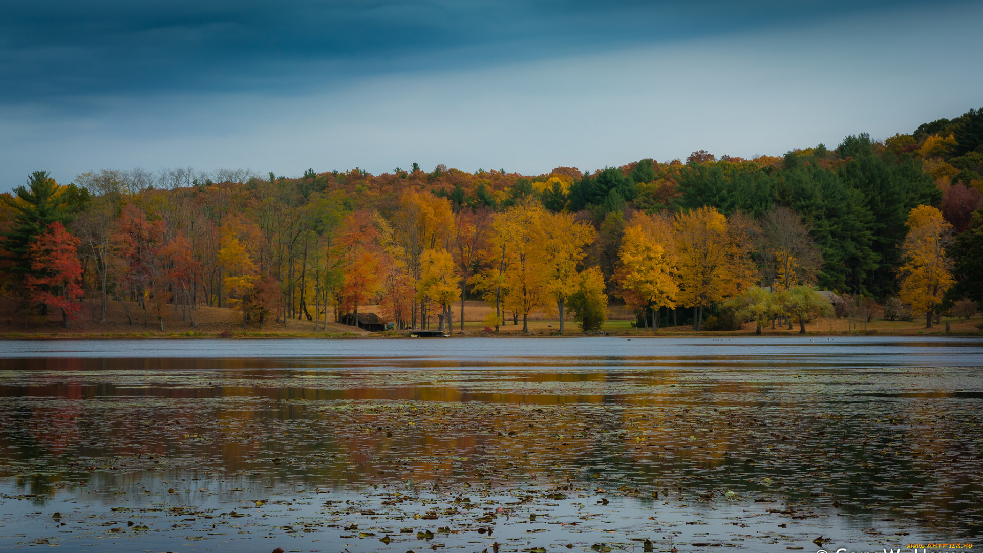 природа, реки, озера, озеро