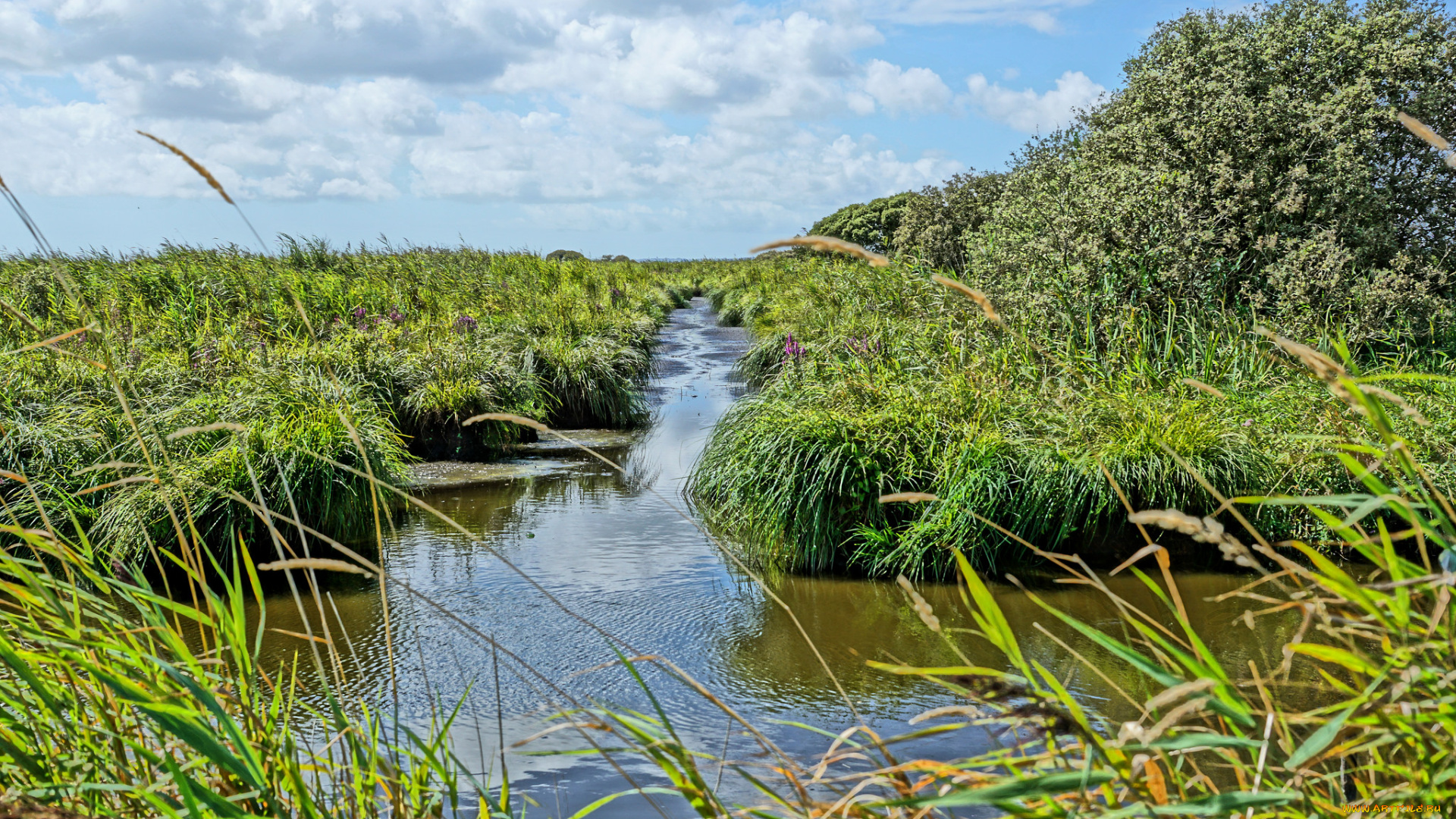 природа, реки, озера, простор