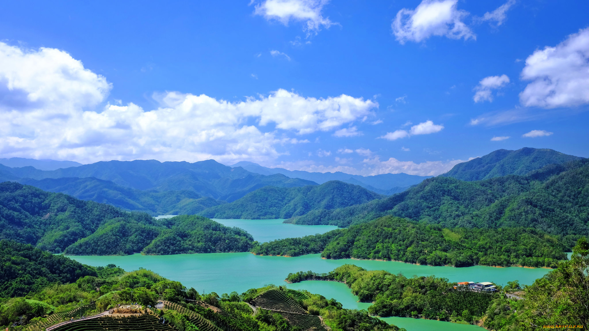 природа, реки, озера, река, лес