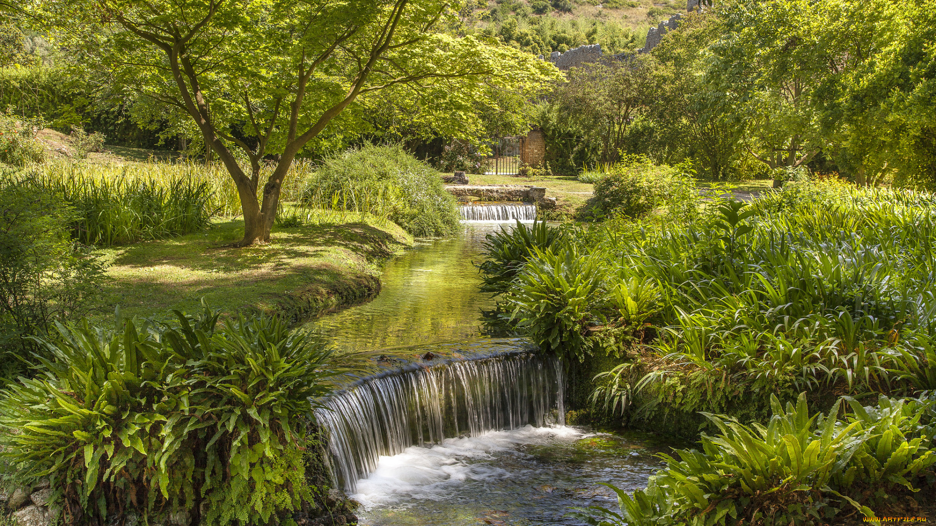 природа, реки, озера, река, лес