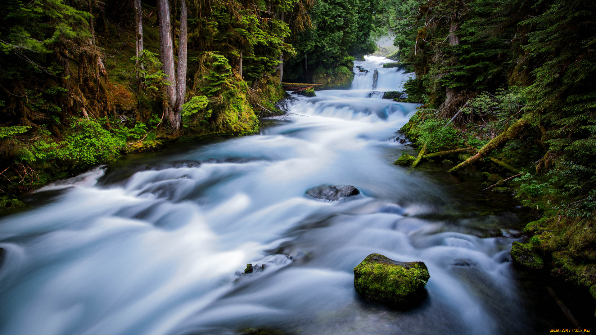 природа, реки, озера, водопад, река, лес