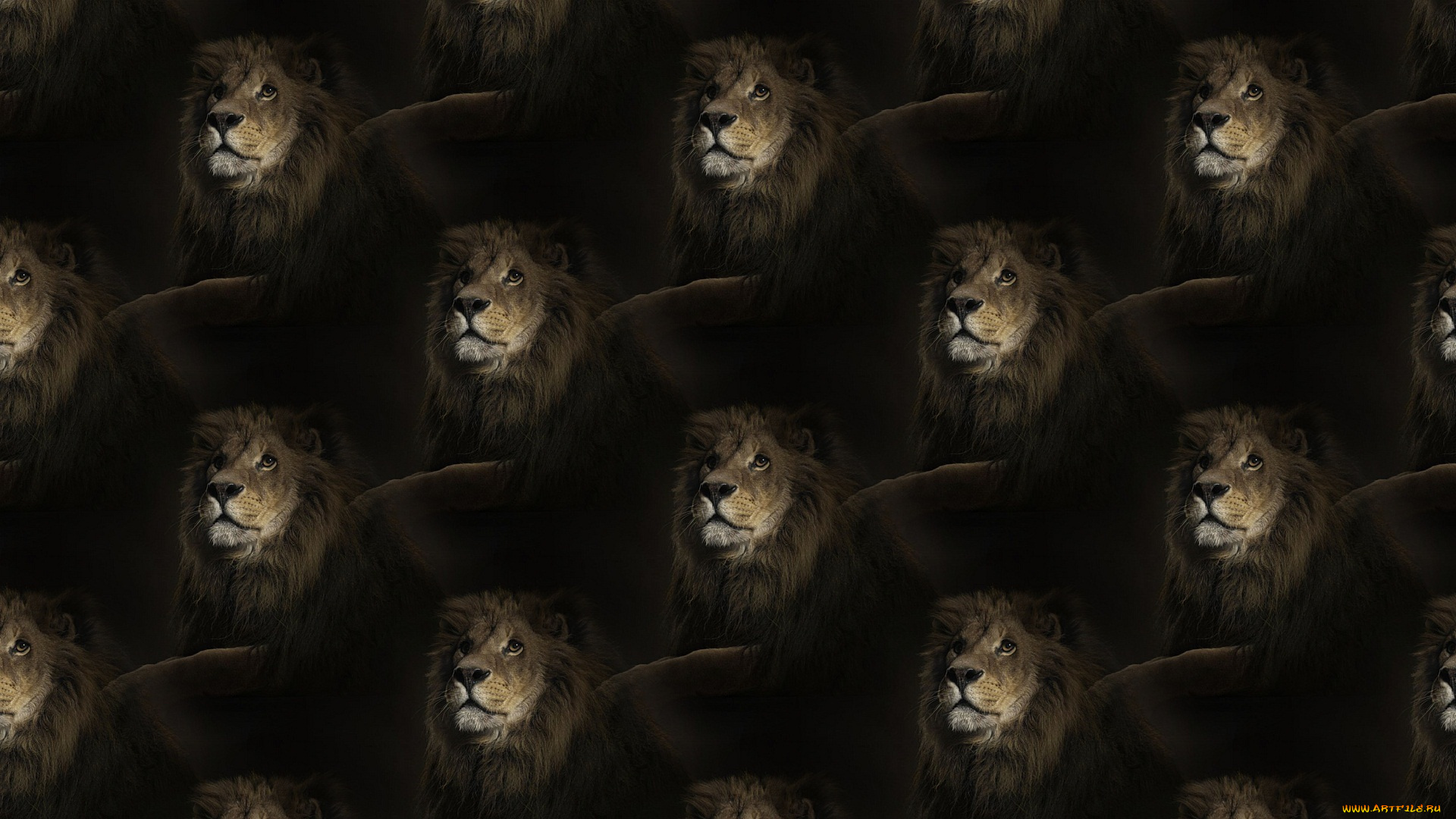 разное, компьютерный, дизайн, грива, лев