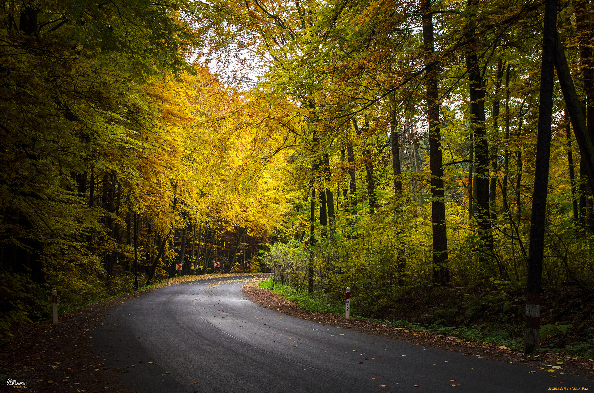 природа, дороги, простор