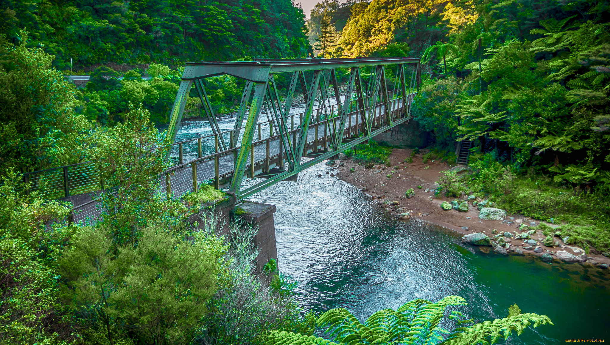 природа, реки, озера, лес, река