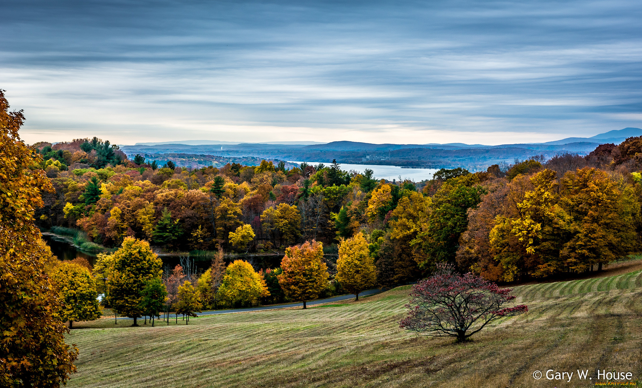 природа, лес, осень