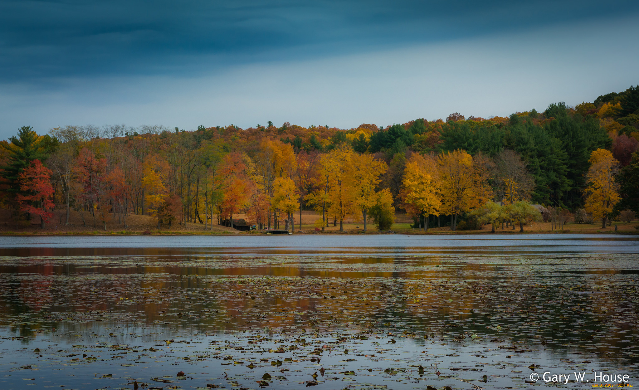 природа, реки, озера, озеро