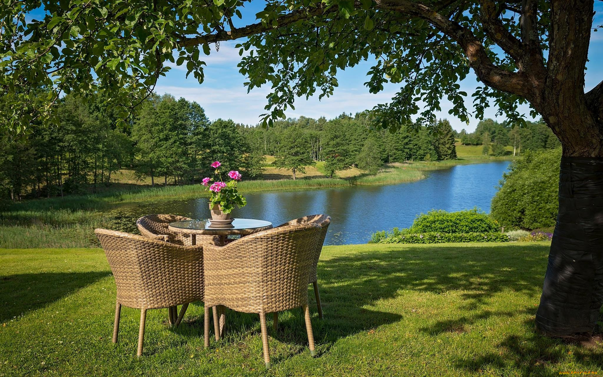 природа, парк, стулья, стол, деревья, водоем