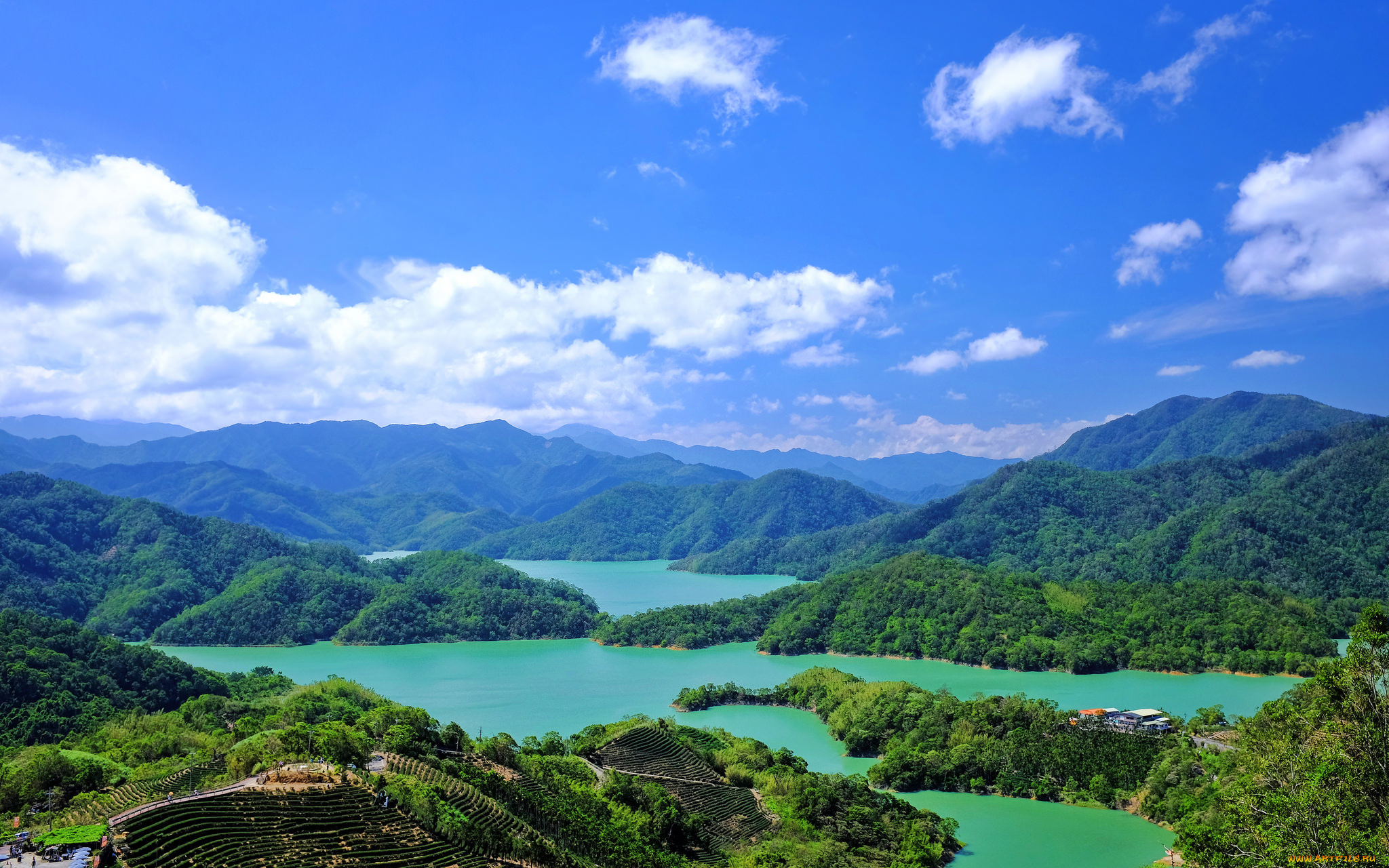 природа, реки, озера, река, лес