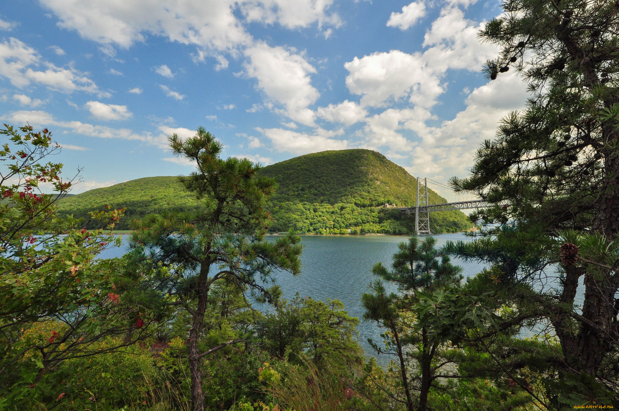 природа, реки, озера, лес, река