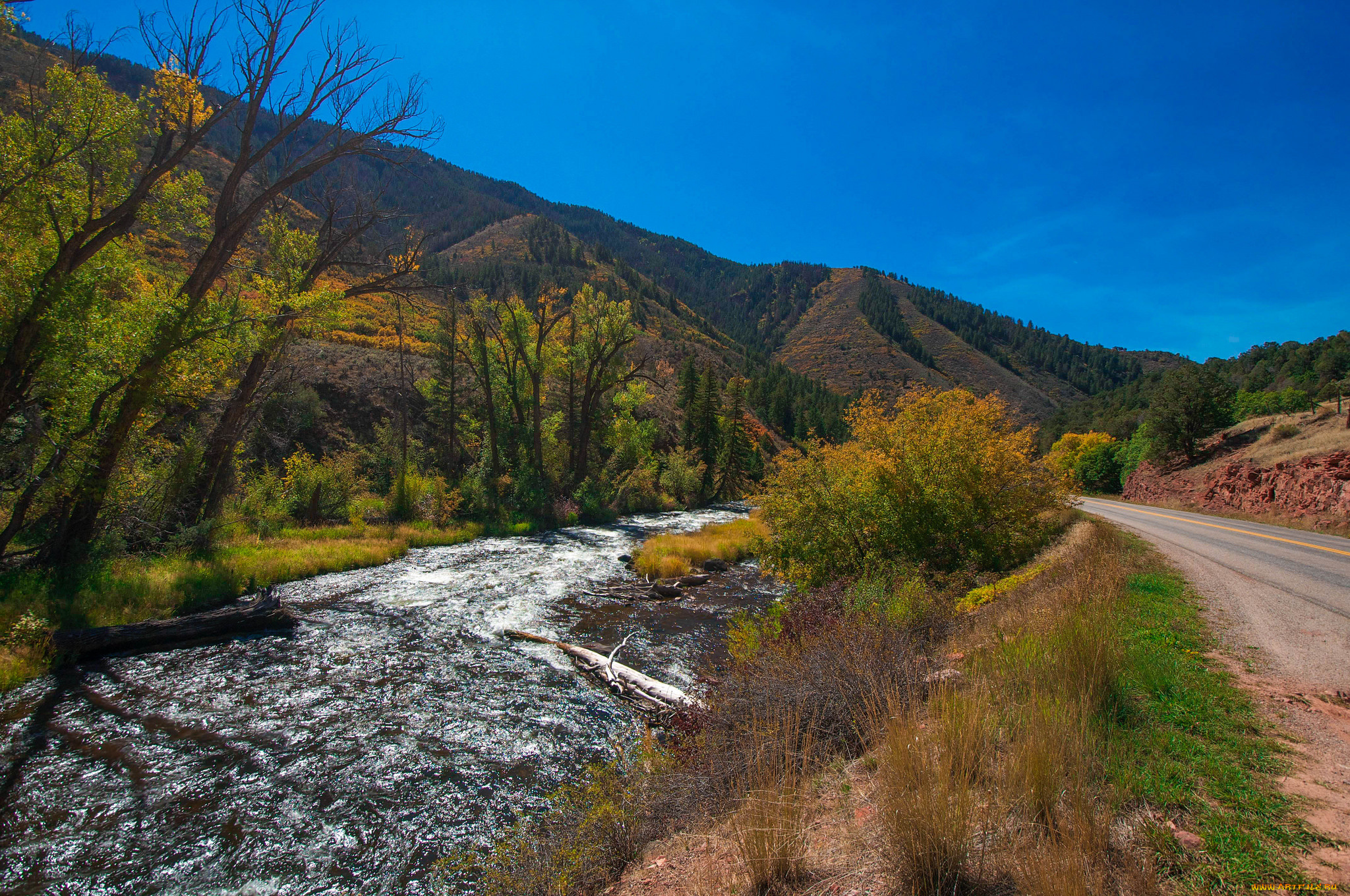 природа, реки, озера, лес, река