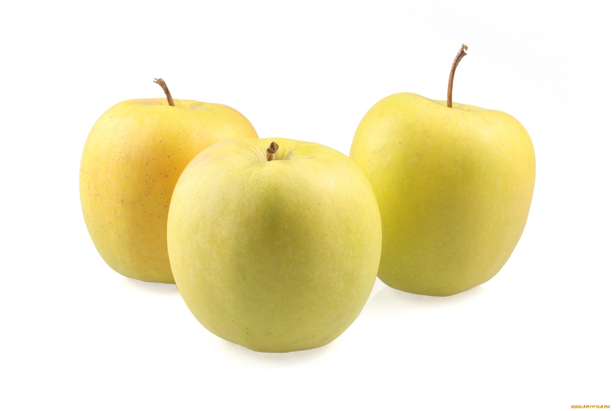 еда, Яблоки, плоды