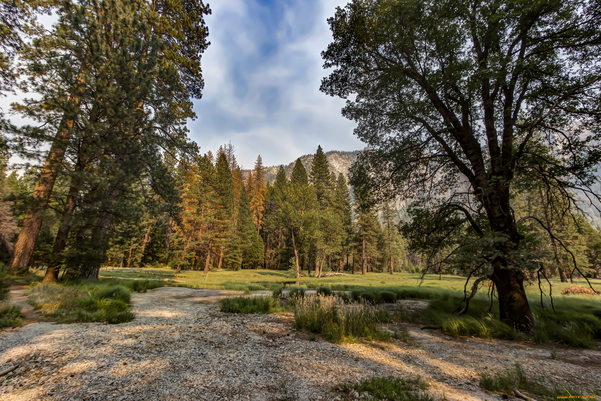 природа, дороги, простор