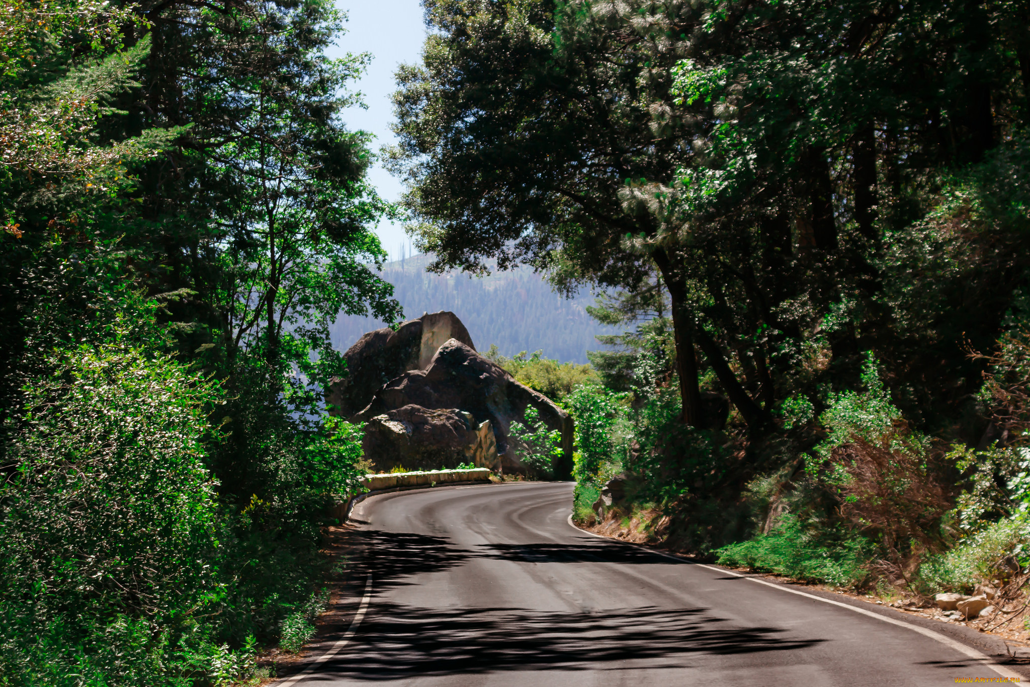 природа, дороги, простор