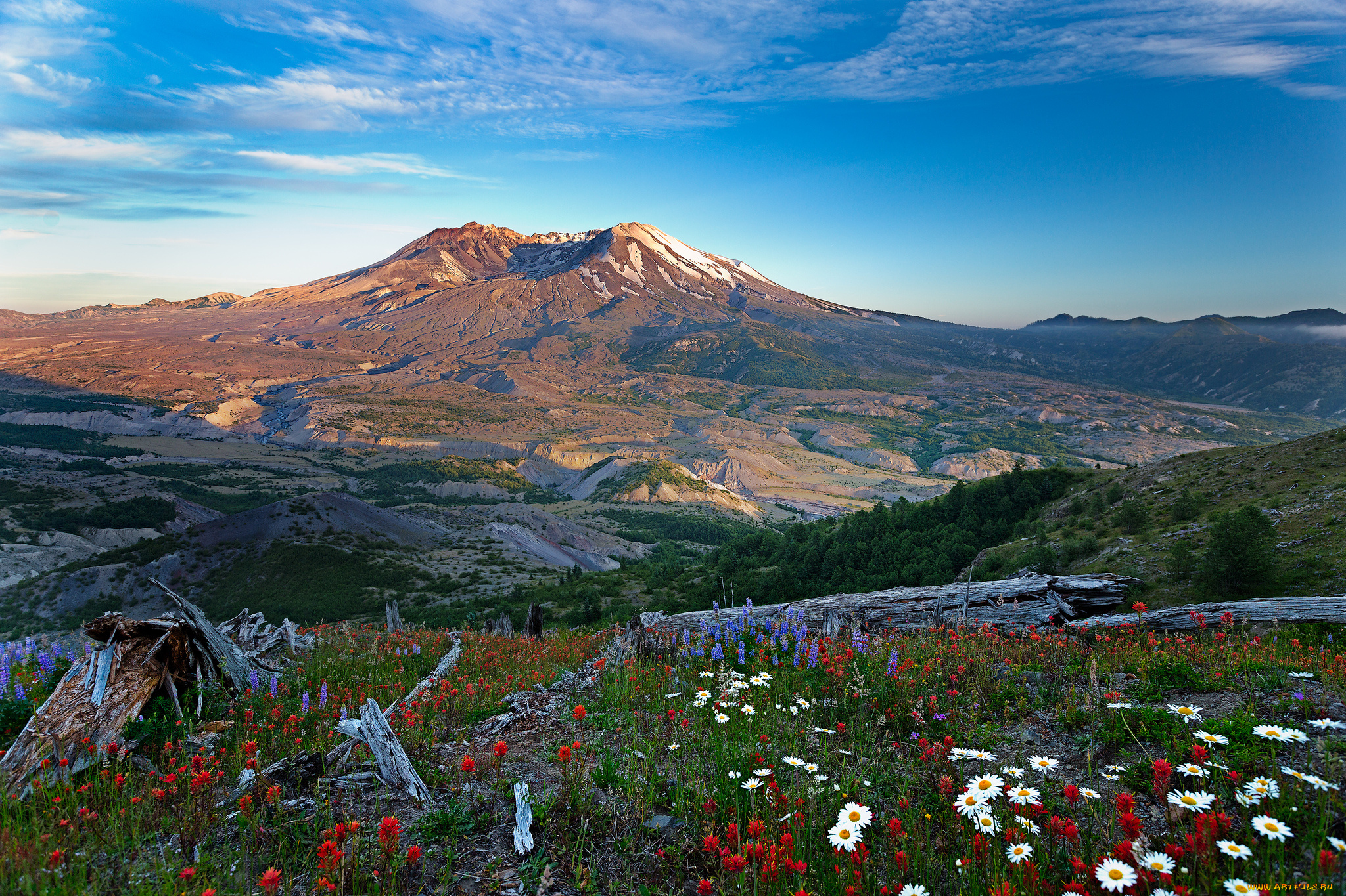 природа, луга, простор