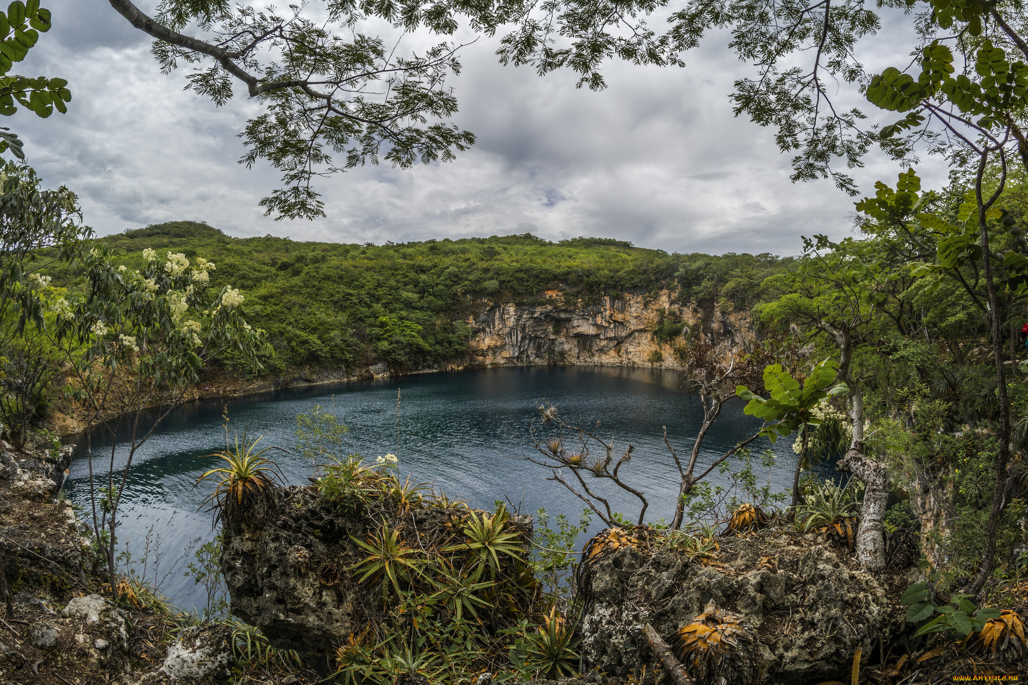 природа, реки, озера, лес, река