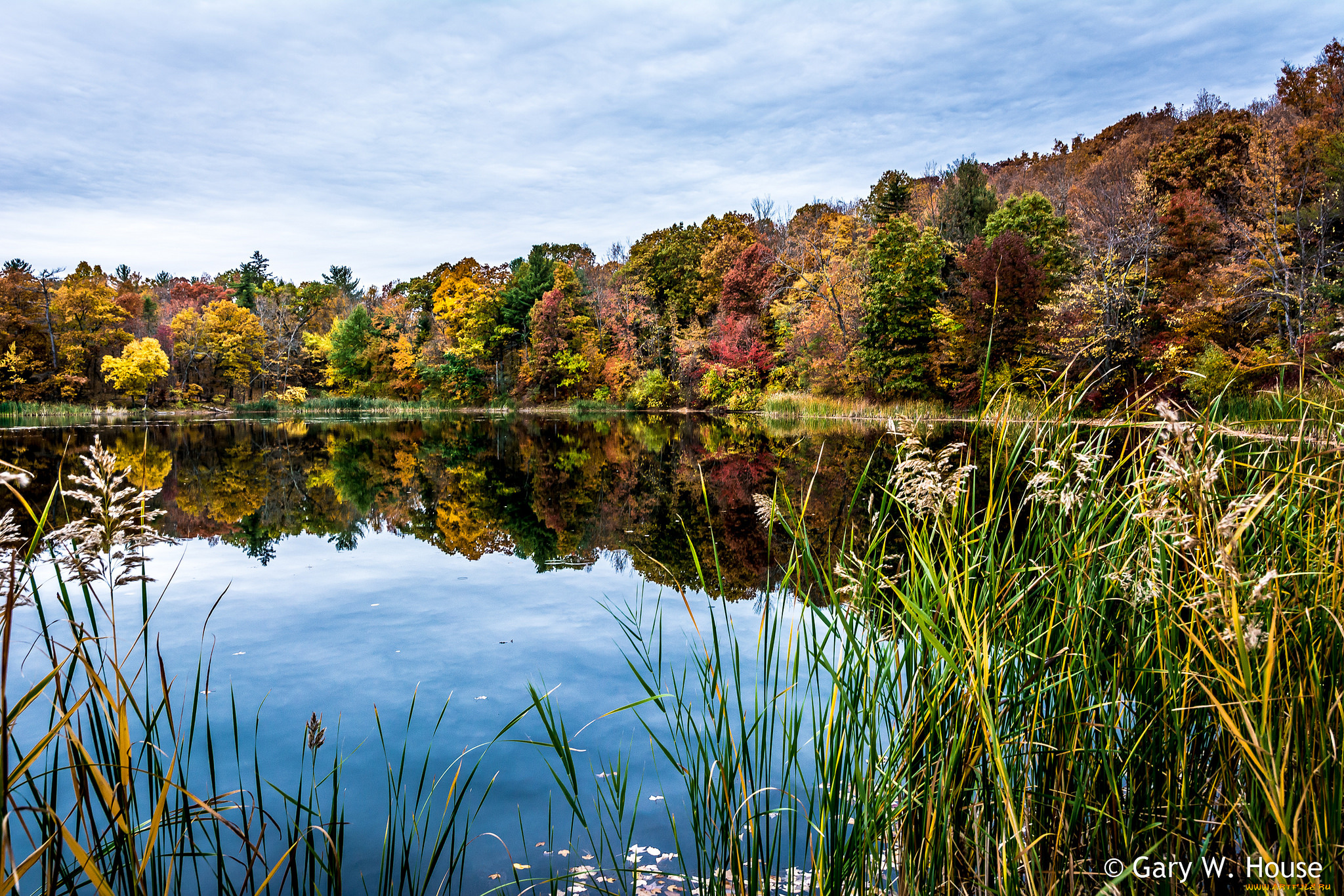 природа, реки, озера, осень