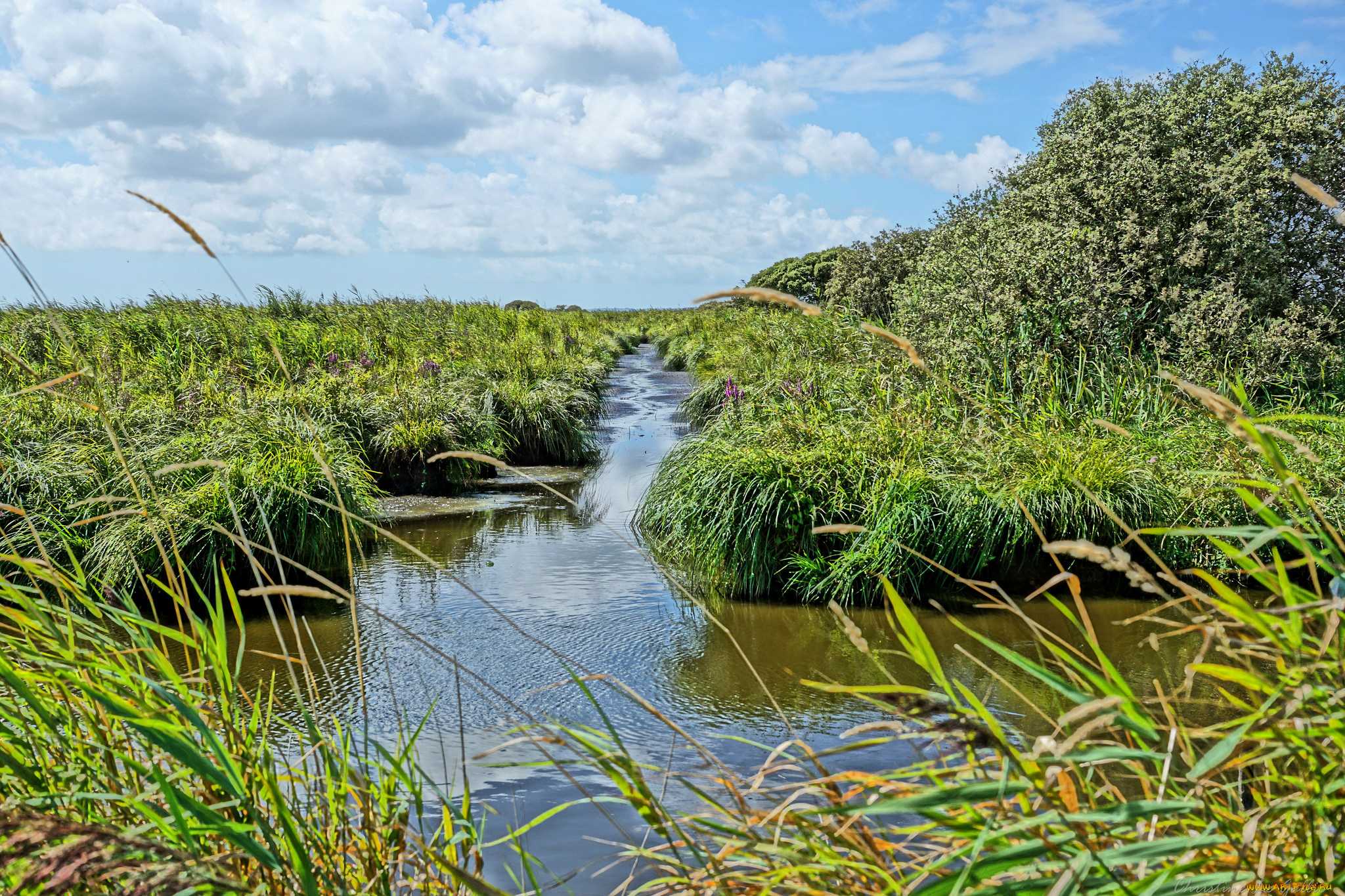 природа, реки, озера, простор
