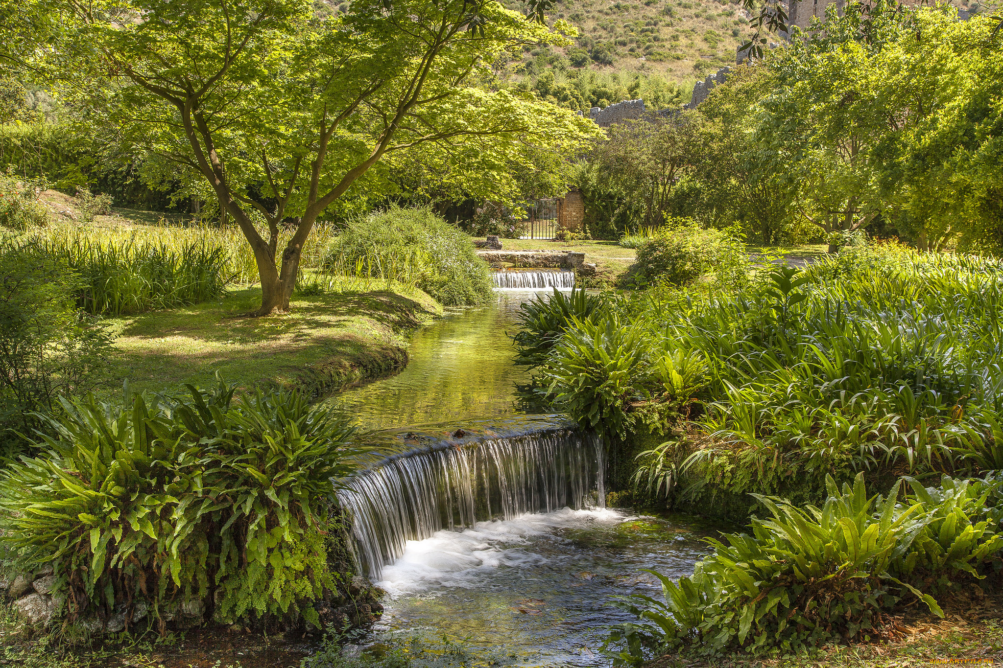 природа, реки, озера, река, лес