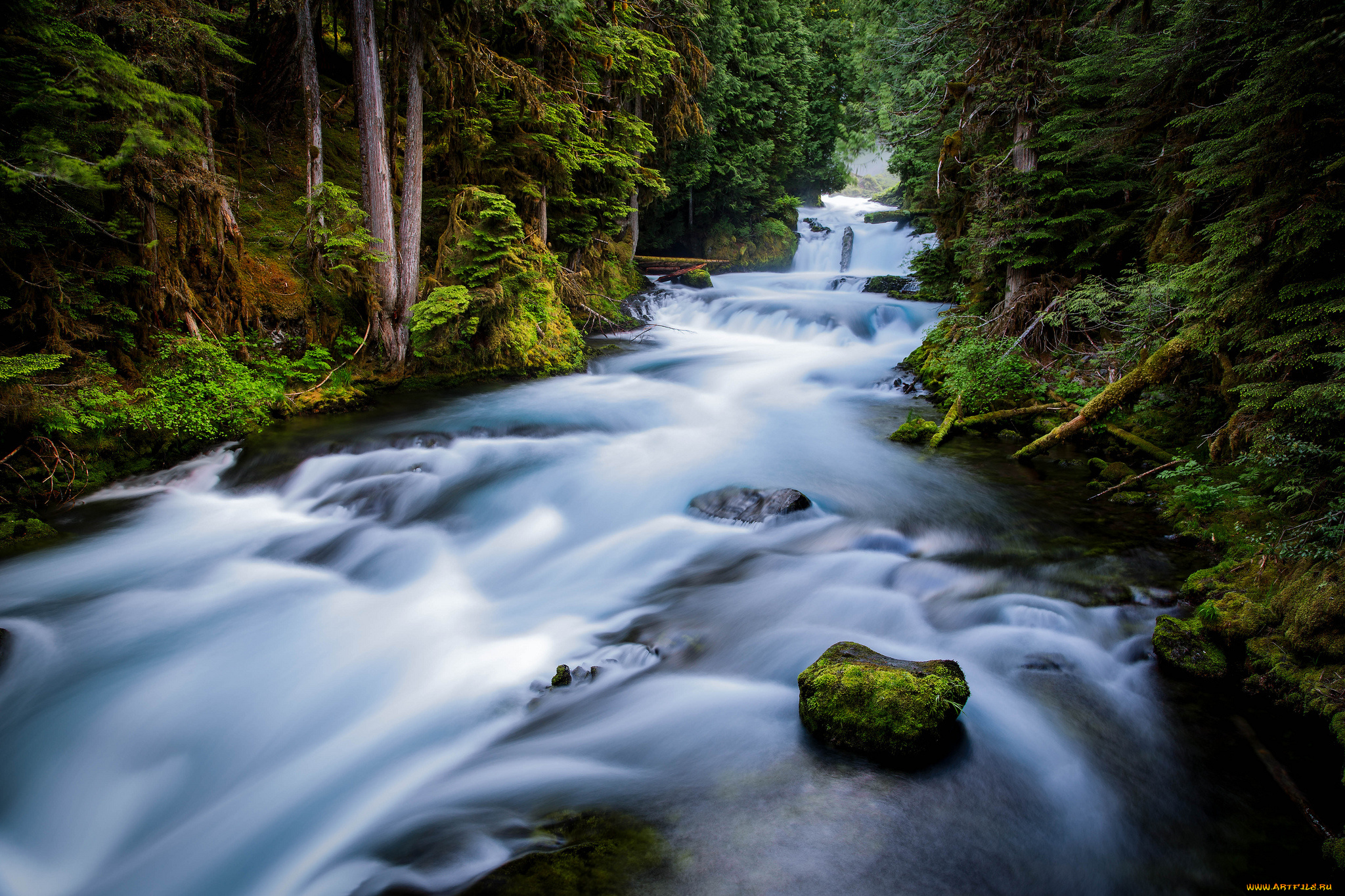 природа, реки, озера, водопад, река, лес