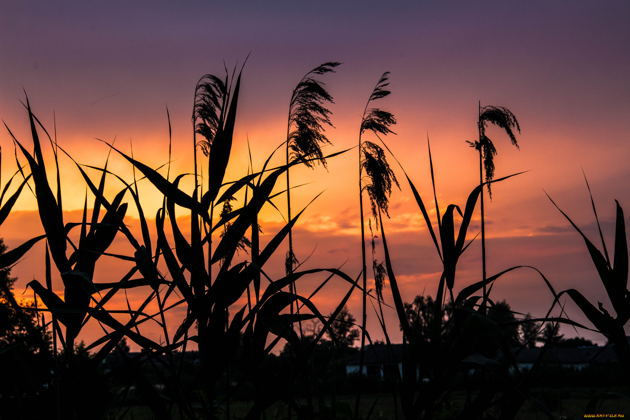 природа, восходы, закаты, рассвет