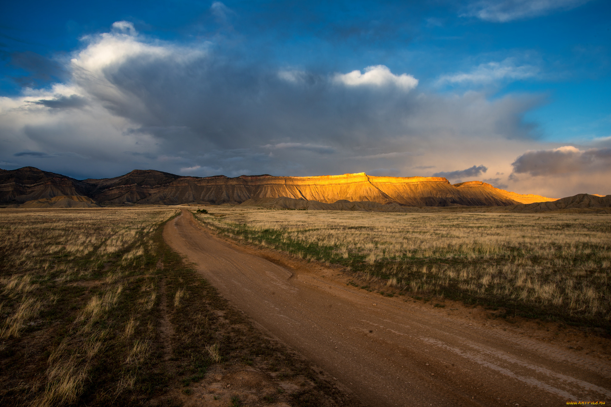 природа, дороги, простор
