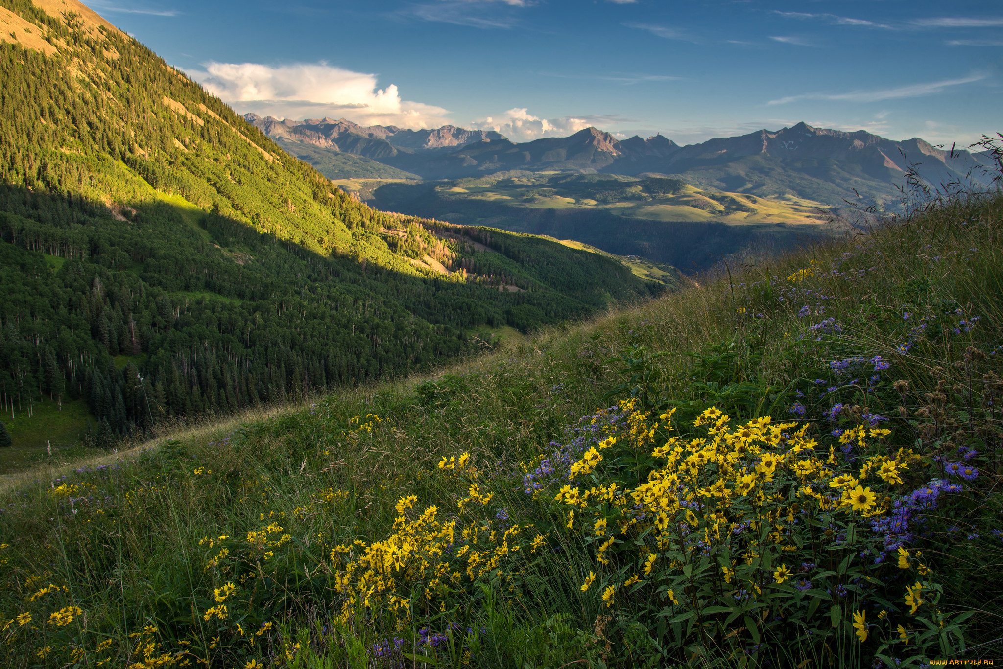 природа, пейзажи, простор