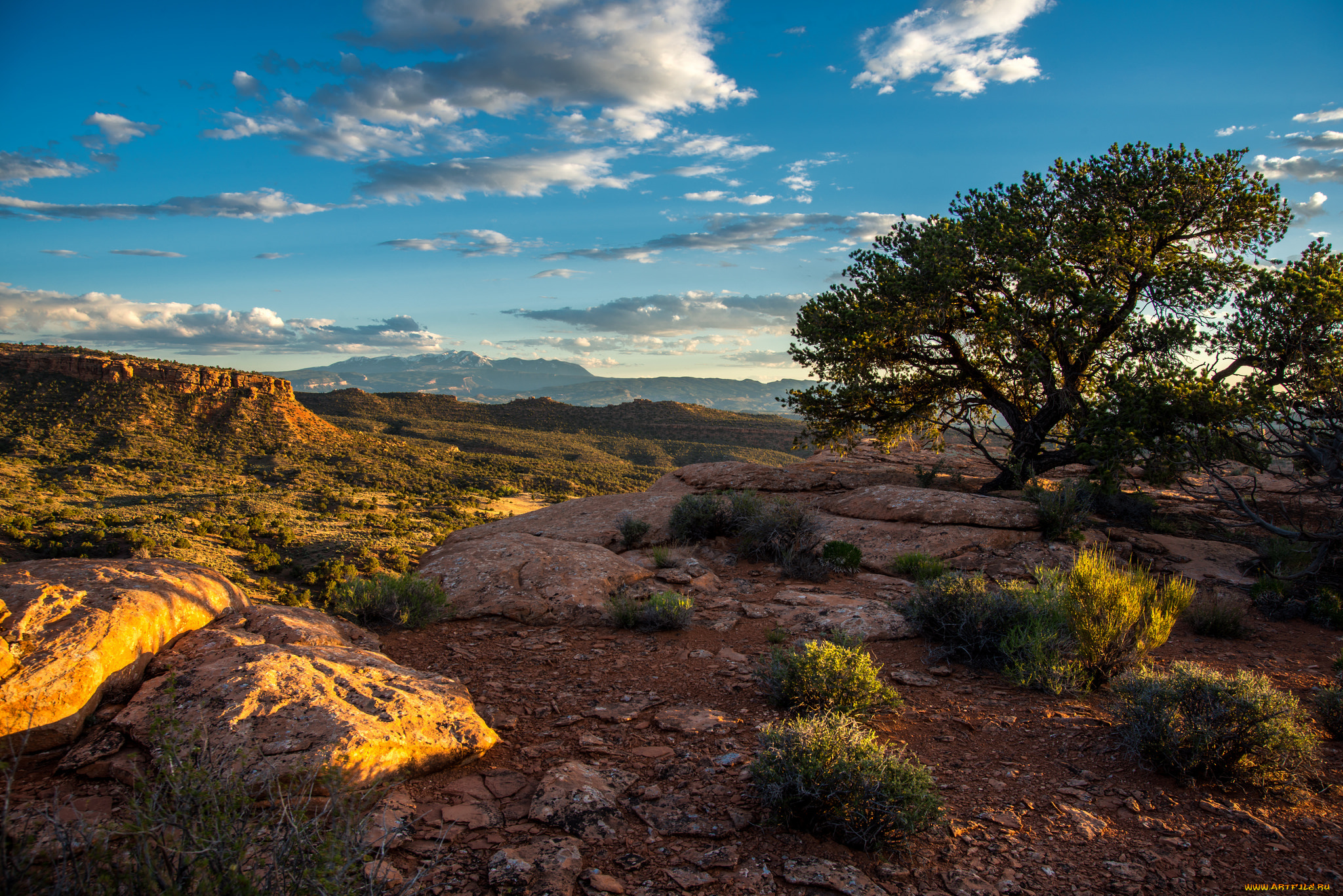 природа, пейзажи, простор