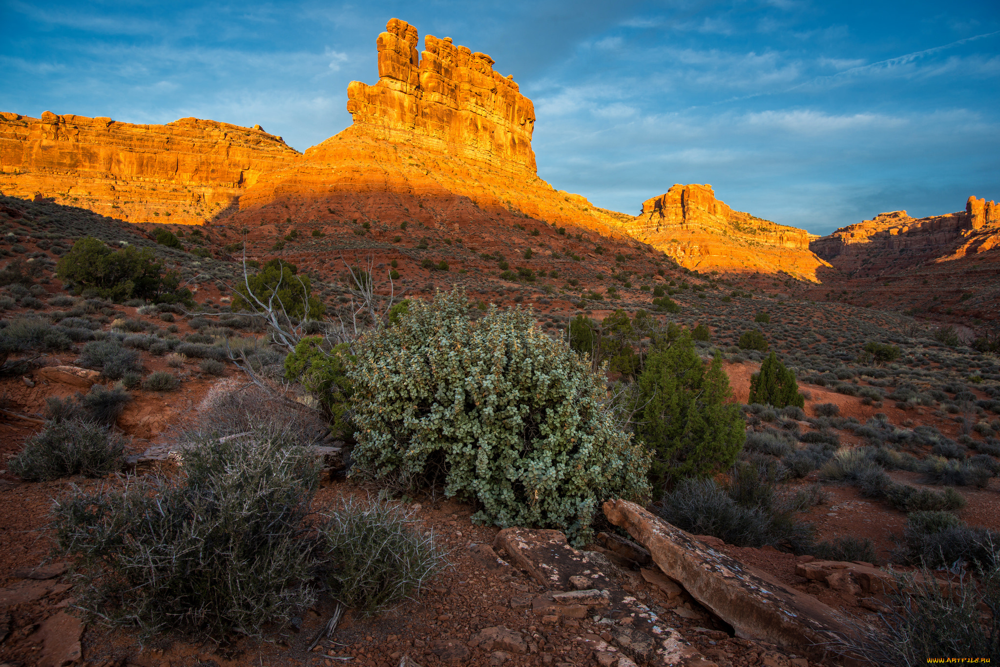 природа, пустыни, простор