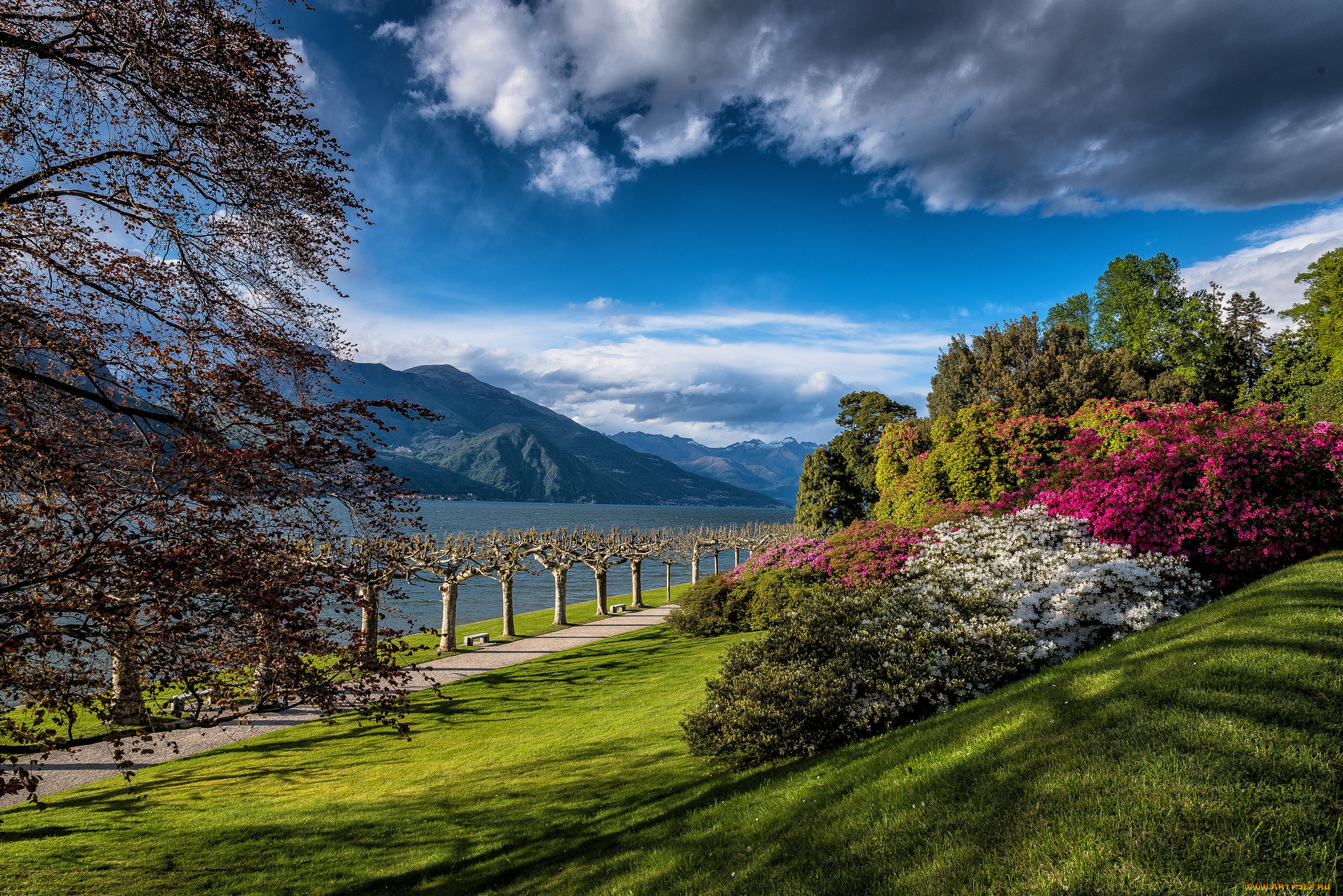 природа, реки, озера, река, лес