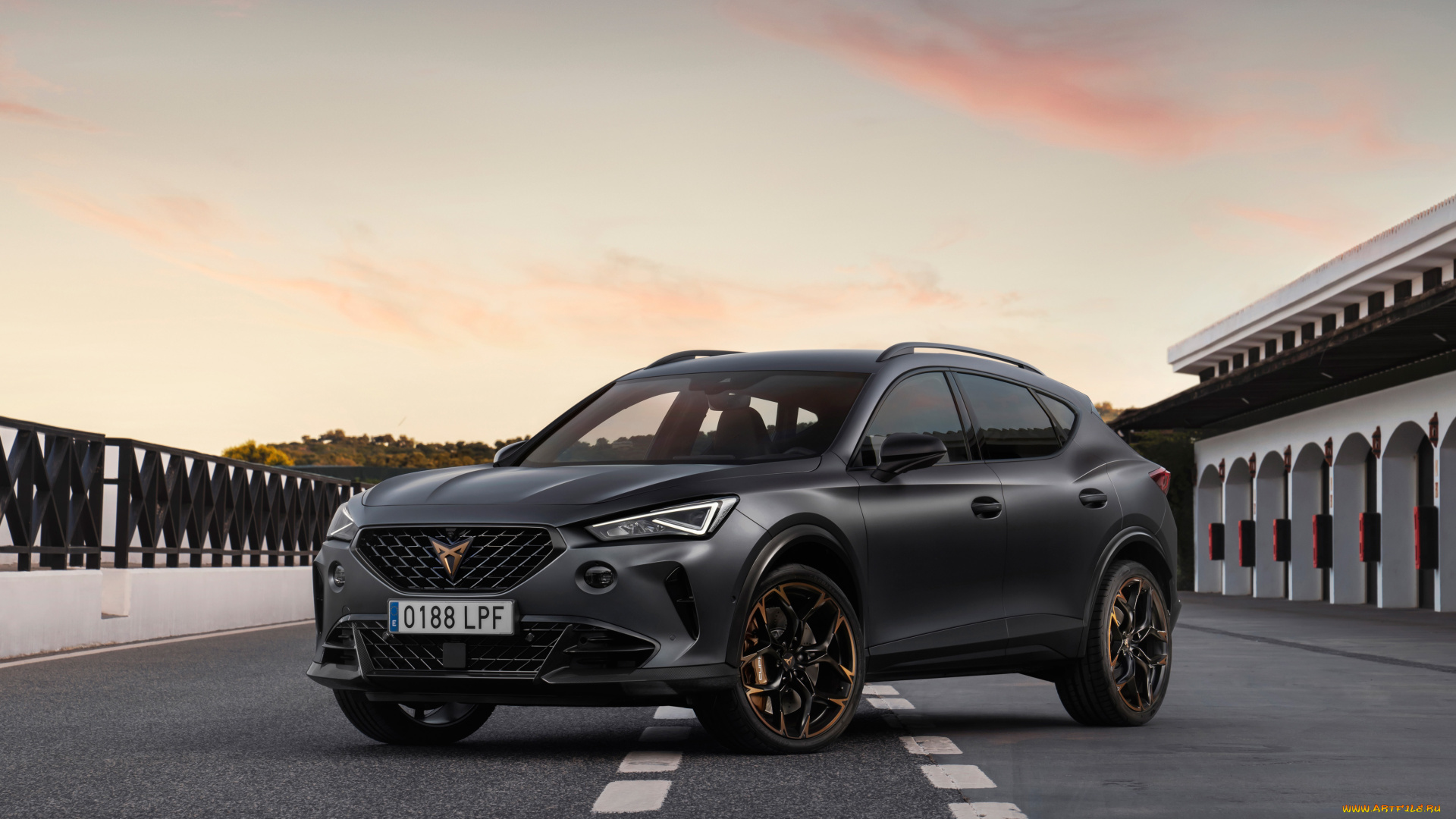 автомобили, cupra