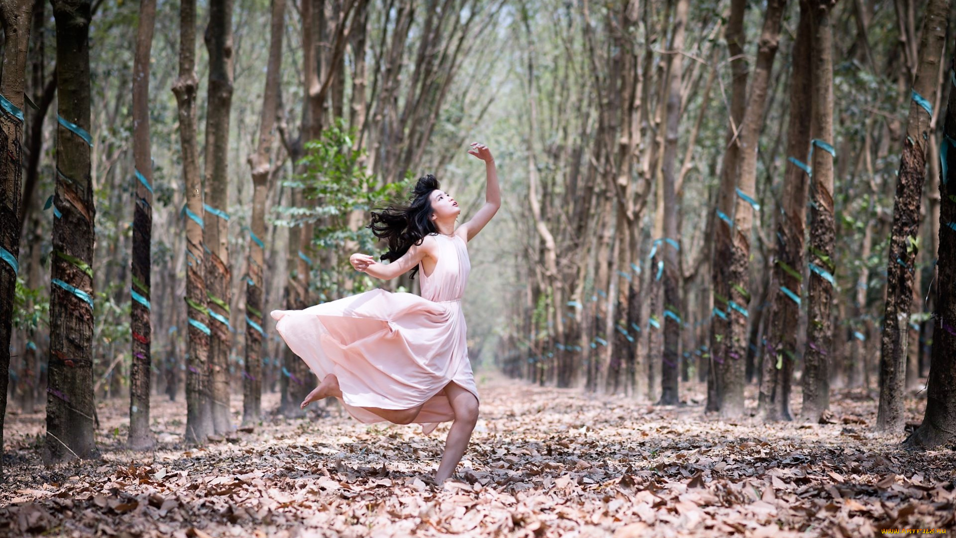 девушки, -, азиатки, брюнетка, лес, платье, листья