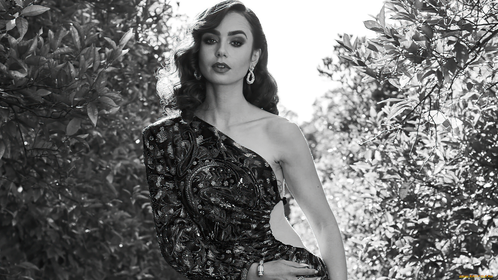 девушки, lily, collins, актриса, черно-белая, платье, кусты