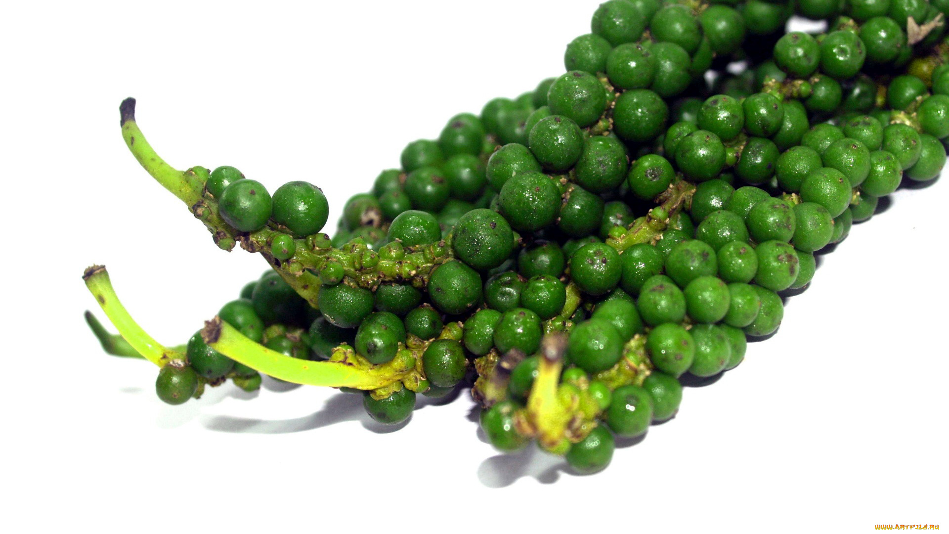 еда, перец, зеленый