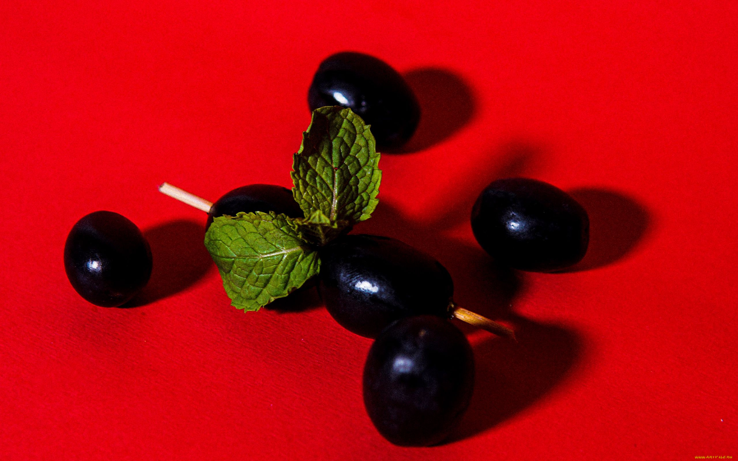 еда, оливки, маслины