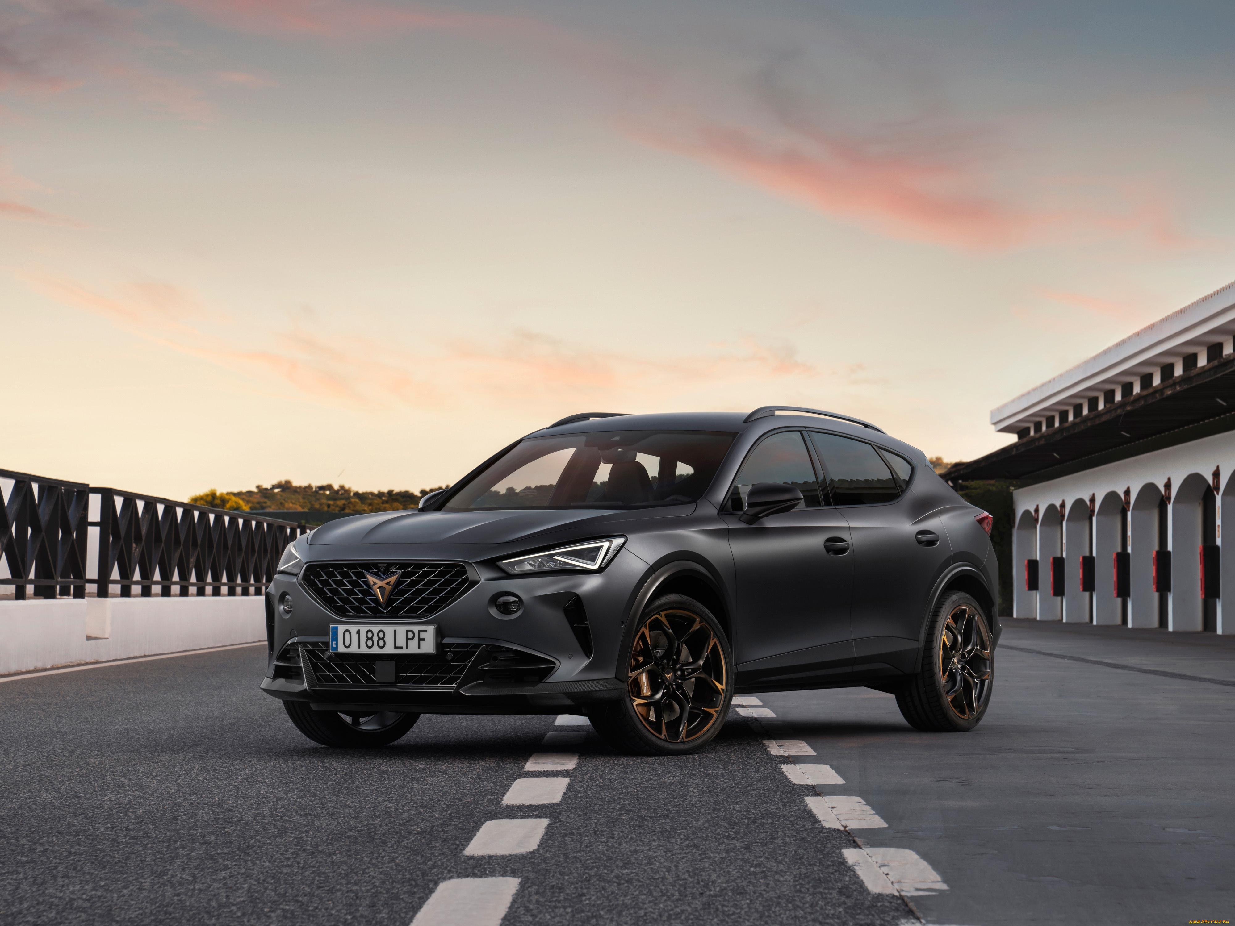 автомобили, cupra