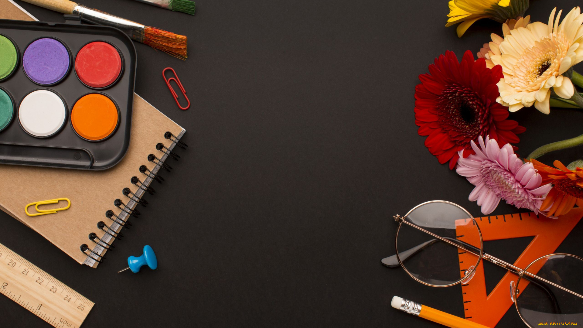 разное, канцелярия, , книги, краски, кисти, очки, герберы