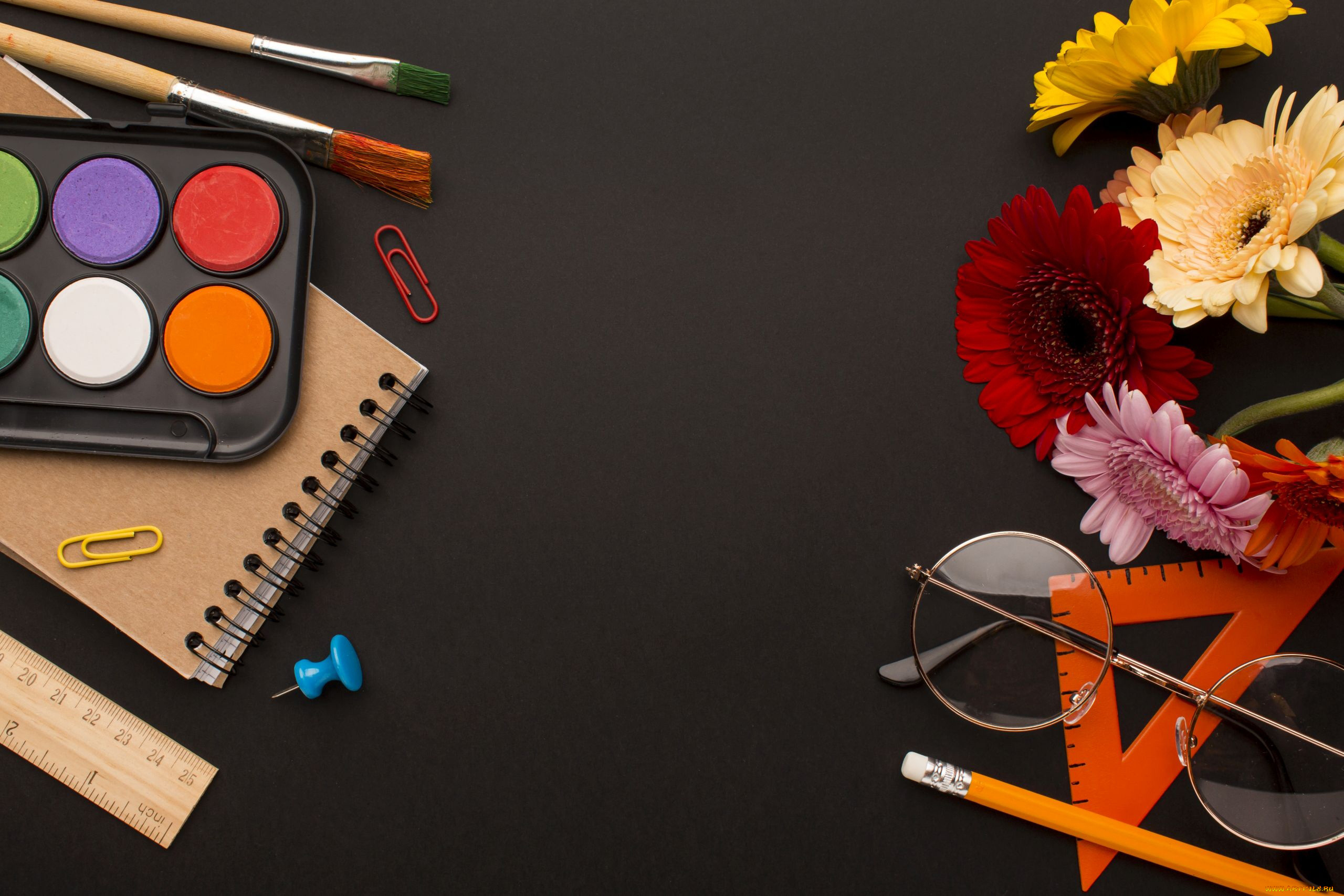 разное, канцелярия, , книги, краски, кисти, очки, герберы