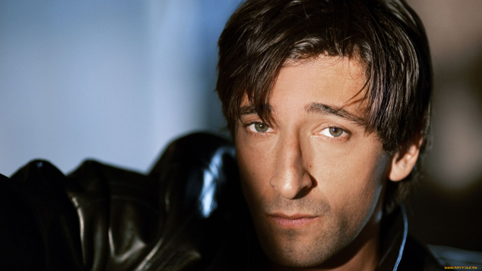 мужчины, adrien, brody, актер, лицо, куртка