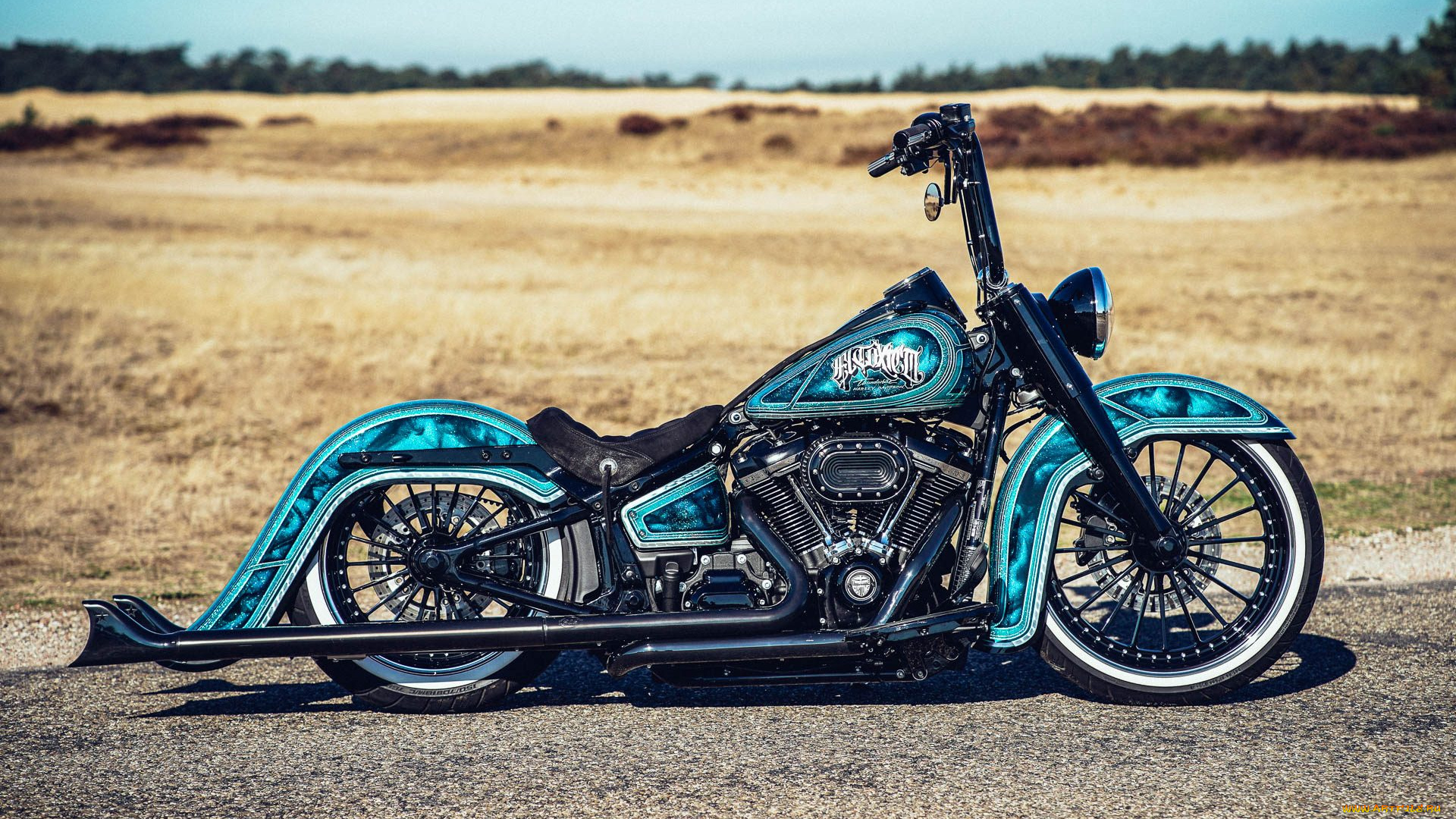 харлей, мотоциклы, harley-davidson, мотоцикл, байк, thunderbike, customs