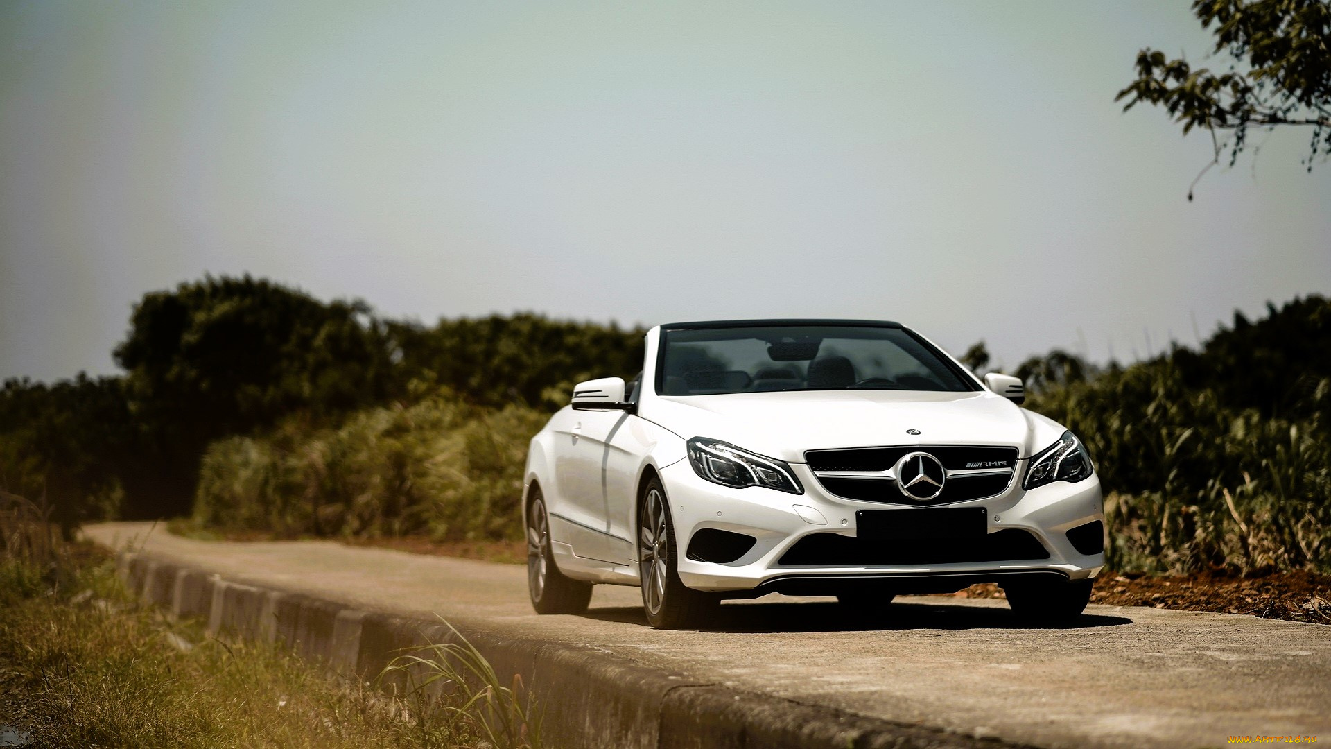 mercedes, e, 200, автомобили, mercedes-benz, белый, кабриолет, дорога, кусты