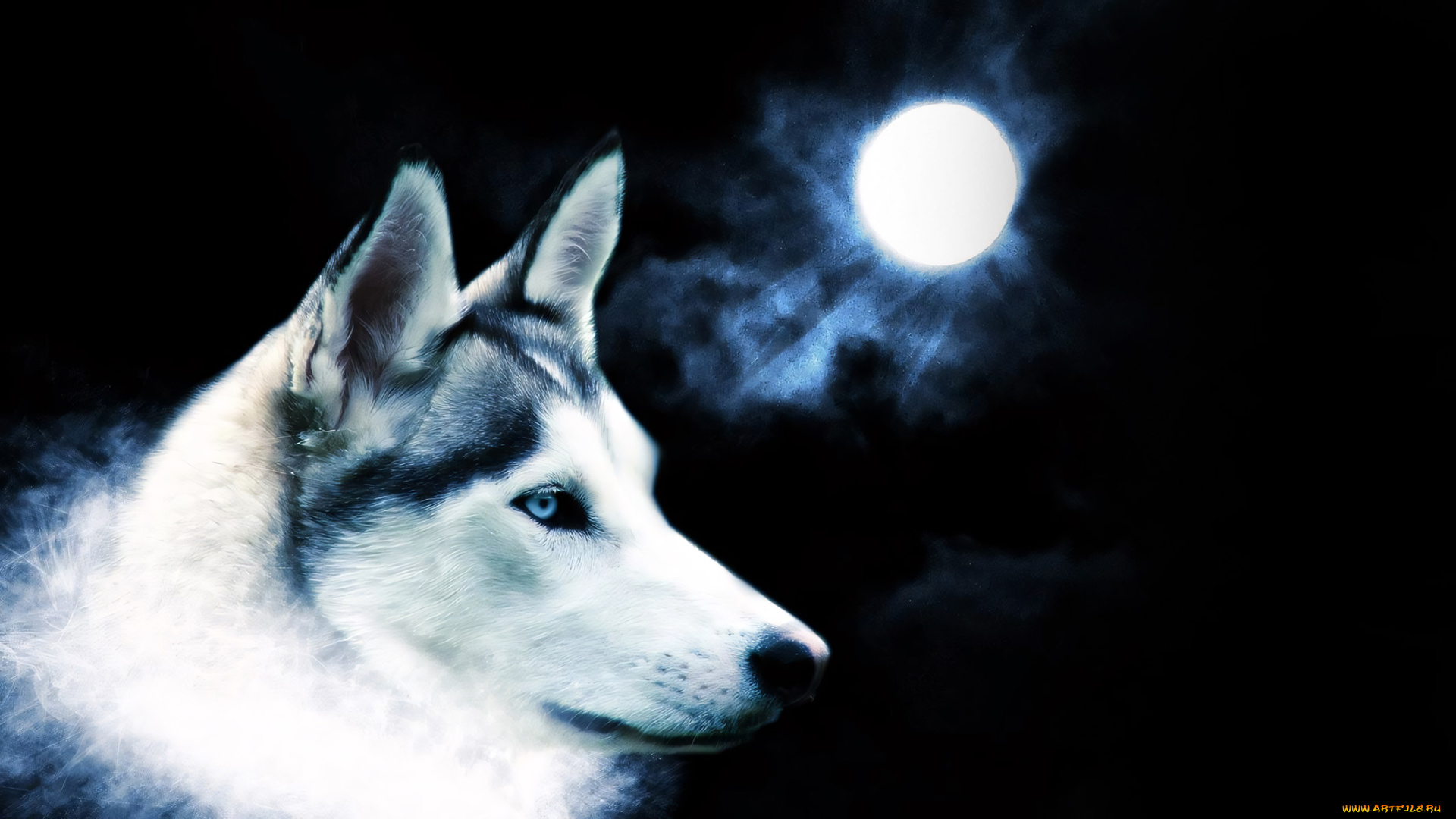 разное, компьютерный, дизайн, волк